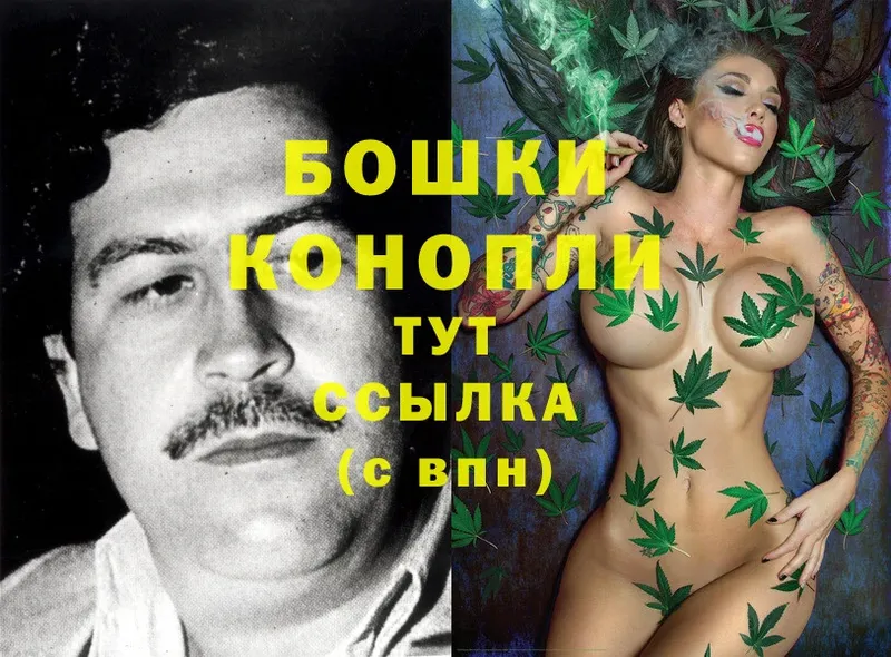 MEGA зеркало  Гуково  Конопля OG Kush 